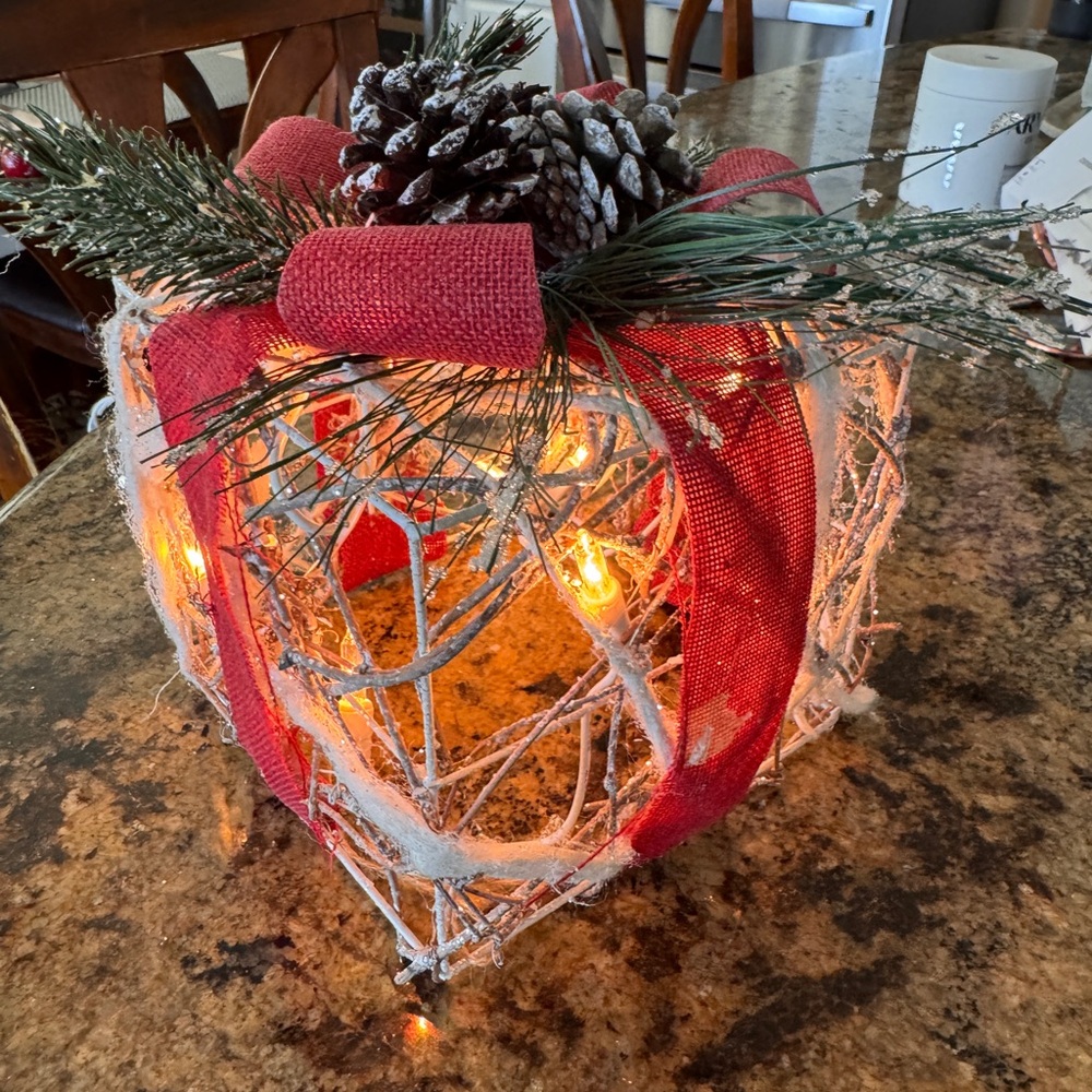Holiday lighted decoration- inside or outside
